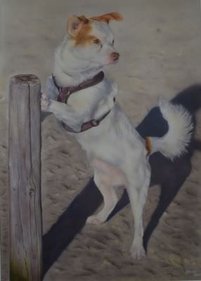 Cody on the beach - Airbrush auf Airbrushkarton